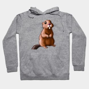 Cute Gopher Drawing Hoodie